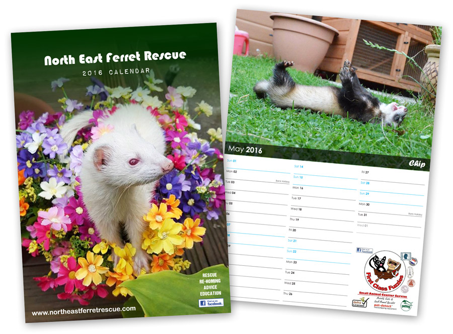 Ferrets-Calendar-Design