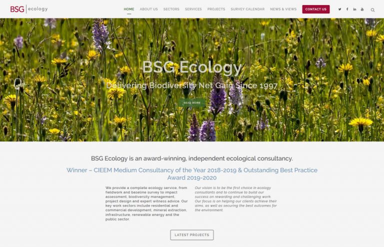 BSG-Ecology-SEO