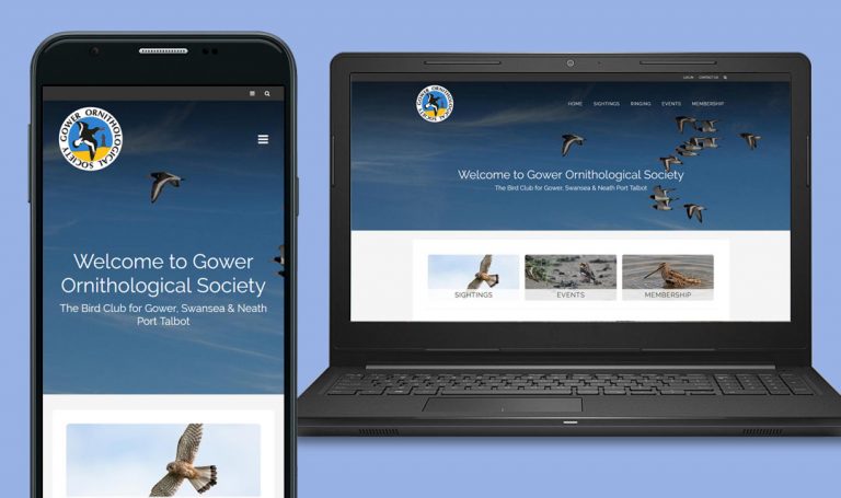 Web-Design-Gower-Birds