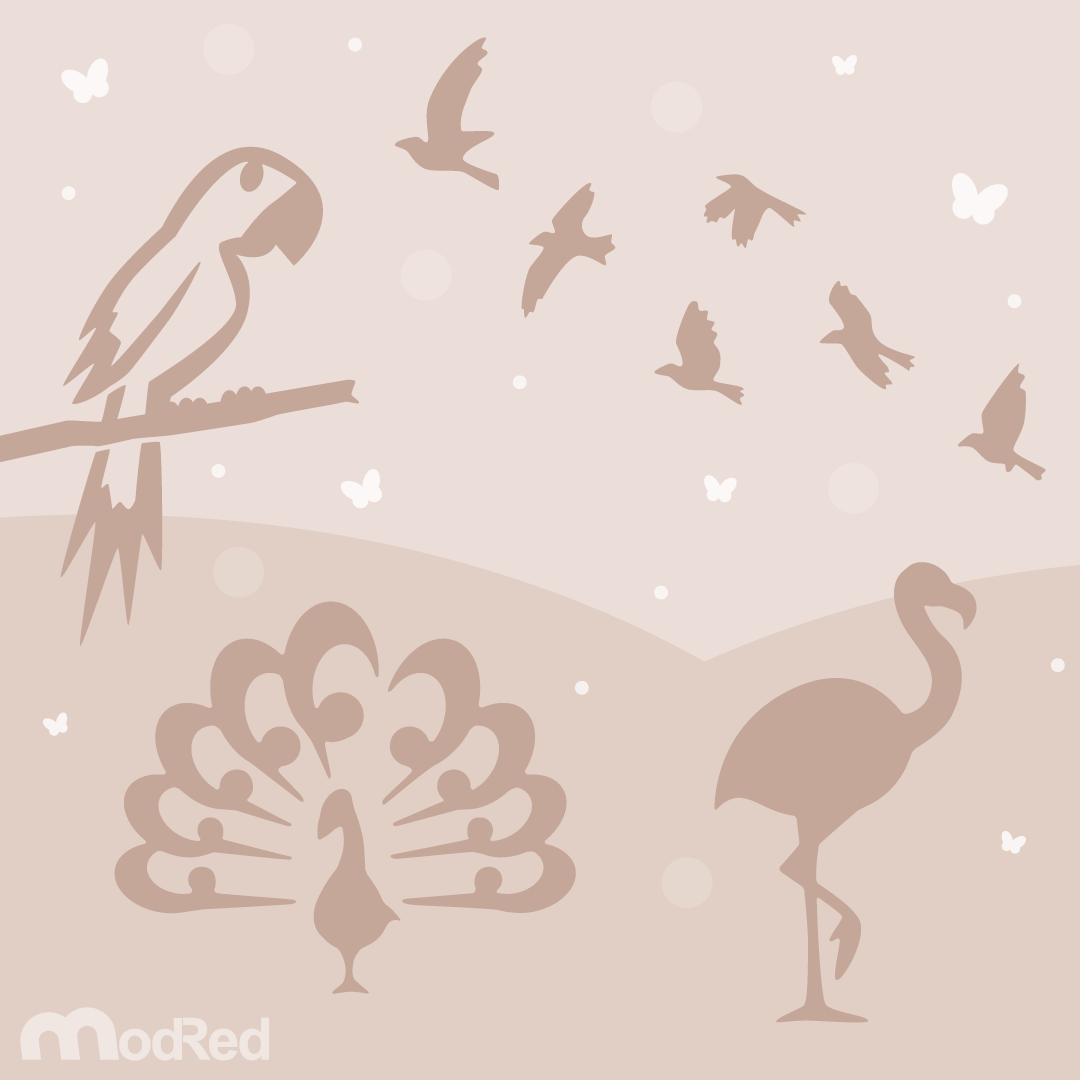 Illustration-Birds