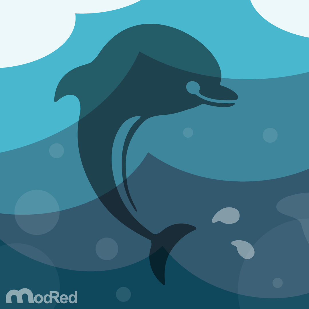 Illustration-Dolphin-2