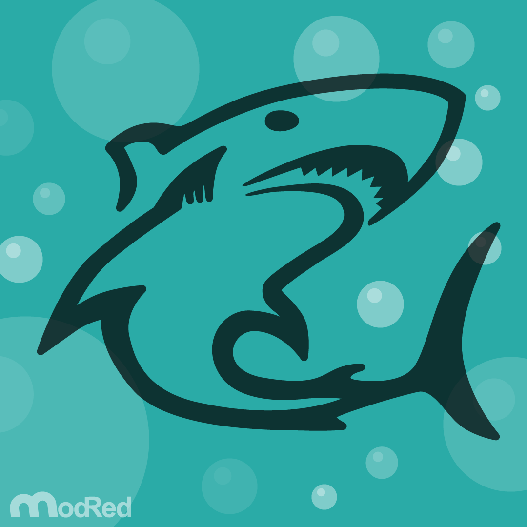 Illustration-Shark