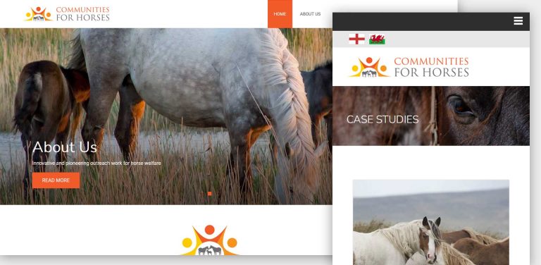Web-Design-Horse-Charity