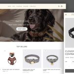 Pets-Lifestyle-Web-Design
